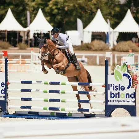 Кемпинг Du Lion D'angers