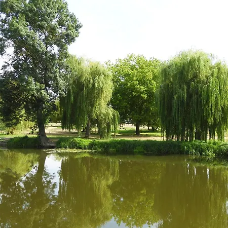 Кемпинг Du Lion D'angers *