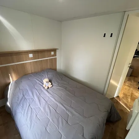 Du Lion D'angers * Ле-Лион-д'Анжер