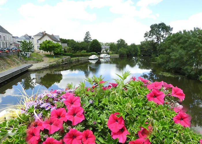 Du Lion D'angers Le Lion-d'Angers