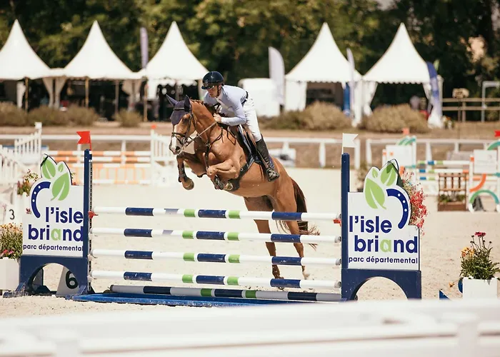 Κάμπινγκ Du Lion D'angers