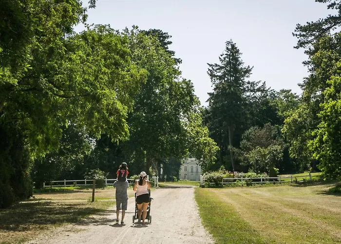 Du Lion D'angers Κάμπινγκ