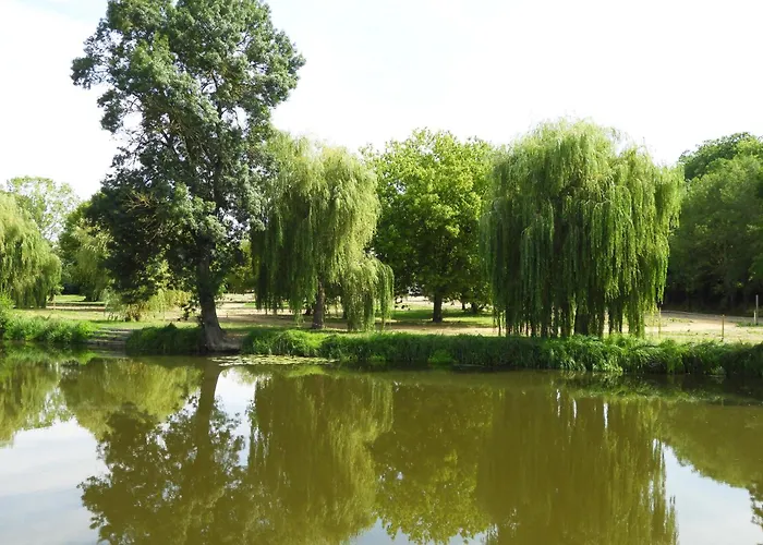 Κάμπινγκ Du Lion D'angers *