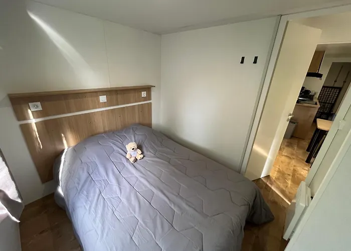 Du Lion D'angers * Le Lion-d'Angers