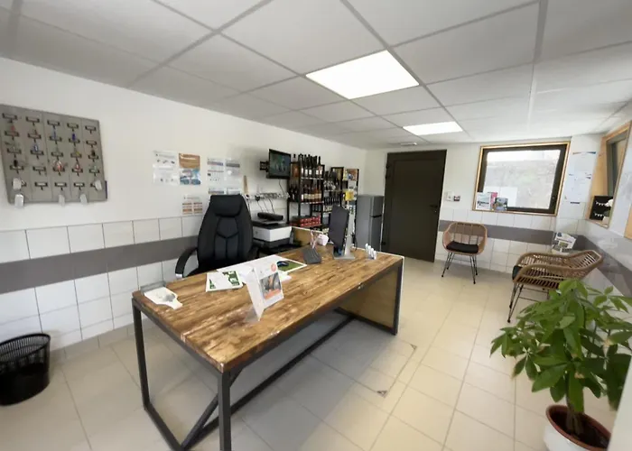 Κάμπινγκ Du Lion D'angers *