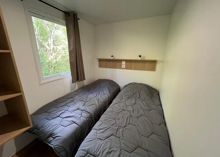 Κάμπινγκ Du Lion D'angers