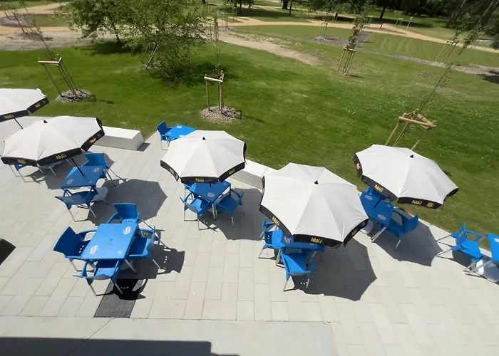 Du Lion D'angers * Le Lion-d'Angers