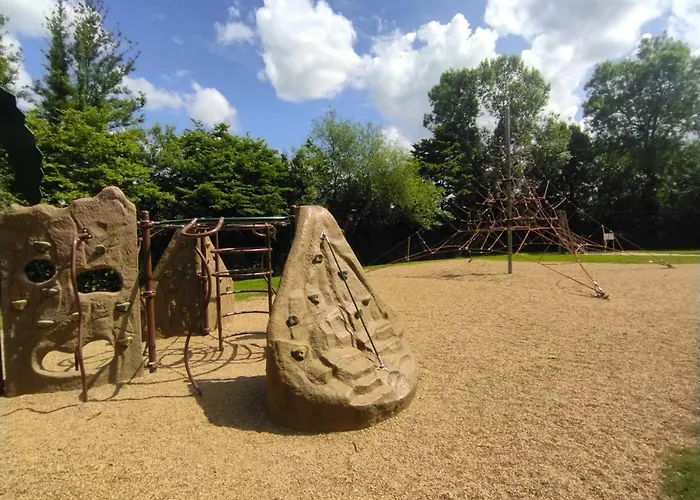 Du Lion D'angers Le Lion-d'Angers