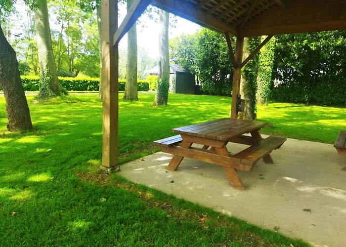 Du Lion D'angers * Le Lion-d'Angers